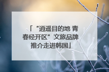 “逍遥目的地 青春经开区”文旅品牌推介走进韩国