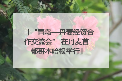 “青岛—丹麦经贸合作交流会” 在丹麦首都哥本哈根举行