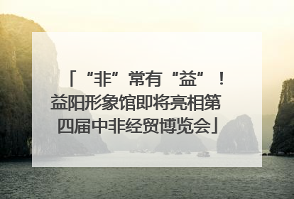 “非”常有“益”！益阳形象馆即将亮相第四届中非经贸博览会