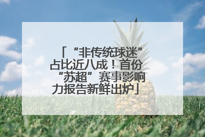 “非传统球迷”占比近八成！首份“苏超”赛事影响力报告新鲜出炉