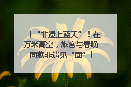 “非遗上蓝天”！在万米高空，旅客与春晚同款非遗见“面”