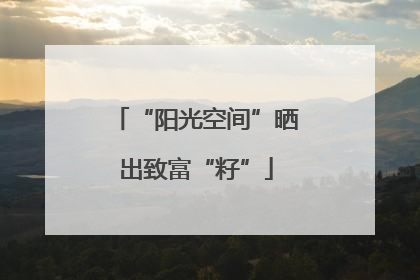 “阳光空间”晒出致富“籽”
