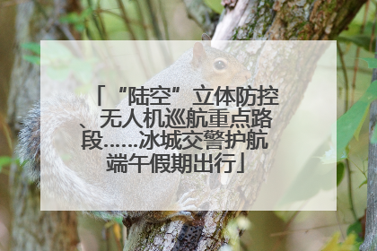 “陆空”立体防控、无人机巡航重点路段……冰城交警护航端午假期出行