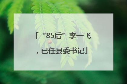 “85后”李一飞，已任县委书记