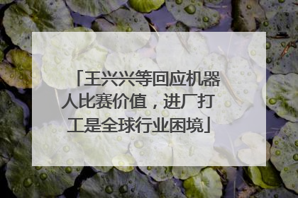 王兴兴等回应机器人比赛价值，进厂打工是全球行业困境