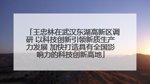 王忠林在武汉东湖高新区调研 以科技创新引领新质生产力发展 加快打造具有全国影响力的科技创新高地