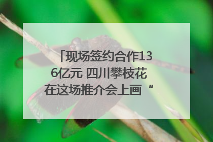 现场签约合作136亿元 四川攀枝花在这场推介会上画“图谱”列“清单”
