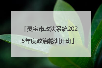 灵宝市政法系统2025年度政治轮训开班