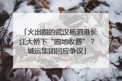 火出圈的武汉杨泗港长江大桥下“圈地收费”？城运集团回应争议
