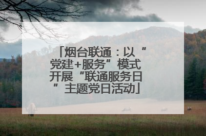 烟台联通：以“党建+服务”模式开展“联通服务日”主题党日活动