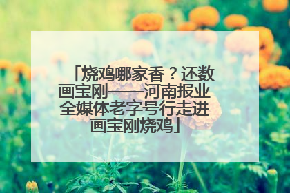 烧鸡哪家香？还数画宝刚——河南报业全媒体老字号行走进画宝刚烧鸡