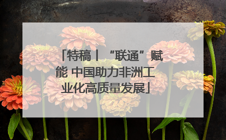 特稿丨“联通”赋能 中国助力非洲工业化高质量发展