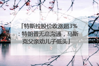 特斯拉股价收涨超3%：特朗普无意沟通，马斯克父亲劝儿子低头