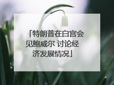 特朗普在白宫会见鲍威尔 讨论经济发展情况
