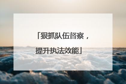 狠抓队伍督察，提升执法效能