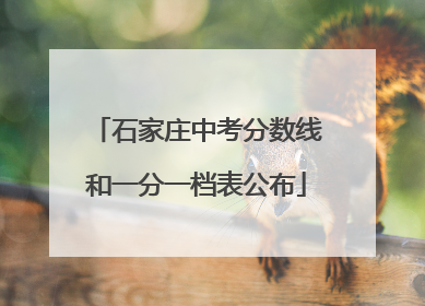 石家庄中考分数线和一分一档表公布