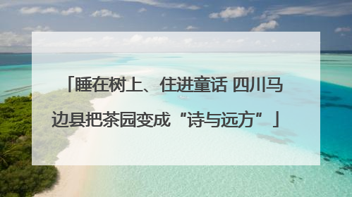 睡在树上、住进童话 四川马边县把茶园变成“诗与远方”