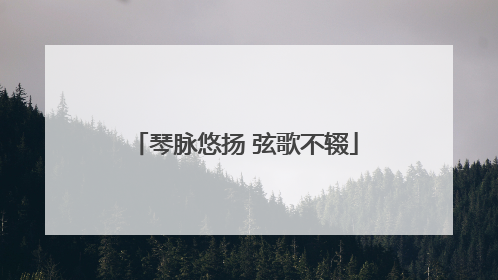 琴脉悠扬 弦歌不辍