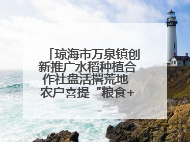 琼海市万泉镇创新推广水稻种植合作社盘活撂荒地 农户喜提“粮食+钞票”分红
