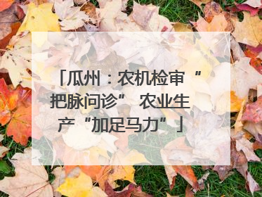 瓜州：农机检审“把脉问诊” 农业生产“加足马力”