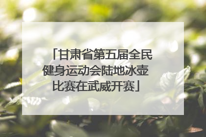 甘肃省第五届全民健身运动会陆地冰壶比赛在武威开赛