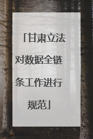甘肃立法对数据全链条工作进行规范