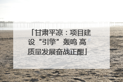 甘肃平凉：项目建设“引擎”轰鸣 高质量发展奋战正酣