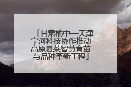 甘肃榆中—天津宁河科技协作推动高原夏菜智慧育苗与品种革新工程