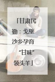 甘肃民勤：戈壁沙乡孕育“甘味”领头羊
