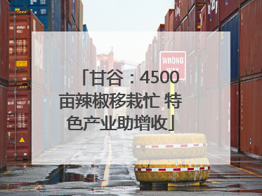 甘谷：4500亩辣椒移栽忙 特色产业助增收