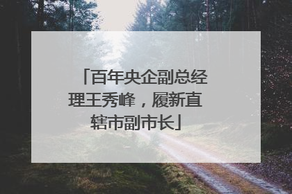 百年央企副总经理王秀峰，履新直辖市副市长