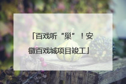 百戏听“巢”！安徽百戏城项目竣工