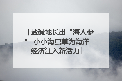 盐碱地长出“海人参” 小小海虫草为海洋经济注入新活力