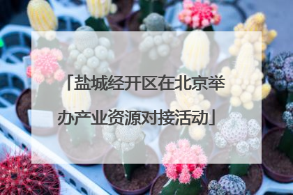 盐城经开区在北京举办产业资源对接活动