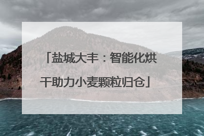 盐城大丰：智能化烘干助力小麦颗粒归仓