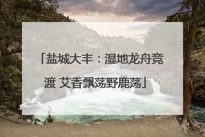 盐城大丰：湿地龙舟竞渡 艾香飘荡野鹿荡