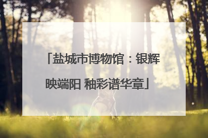 盐城市博物馆：银辉映端阳 釉彩谱华章