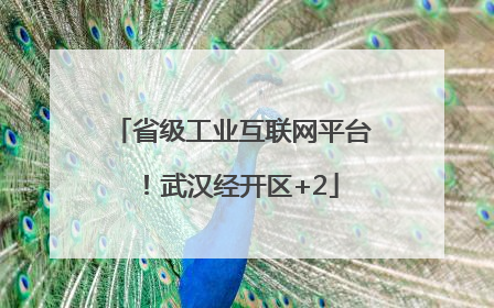 省级工业互联网平台！武汉经开区+2