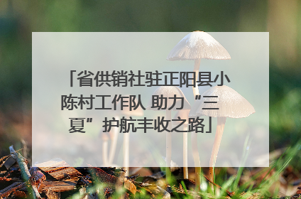 省供销社驻正阳县小陈村工作队 助力“三夏”护航丰收之路