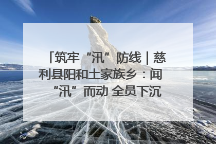 筑牢“汛”防线｜慈利县阳和土家族乡：闻“汛”而动 全员下沉筑牢防汛“安全堤”