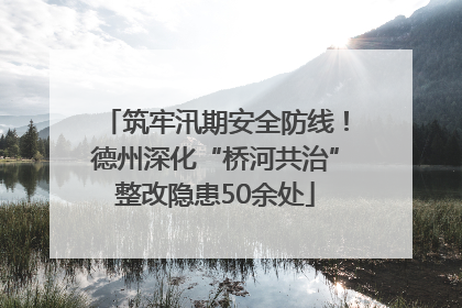 筑牢汛期安全防线！德州深化“桥河共治”整改隐患50余处