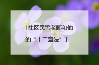 社区民警老郦和他的“十二章法”