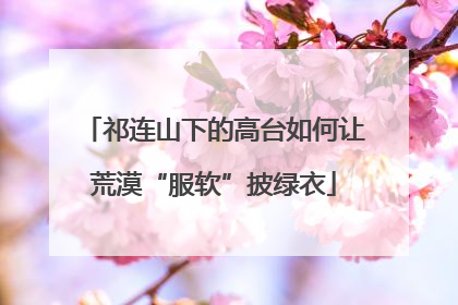 祁连山下的高台如何让荒漠“服软”披绿衣