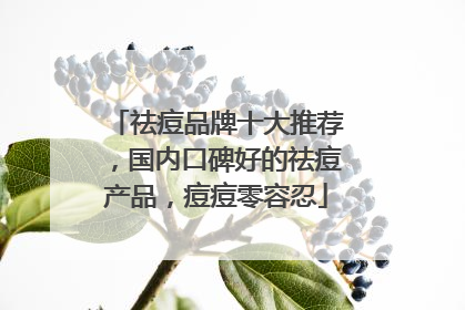 祛痘品牌十大推荐，国内口碑好的祛痘产品，痘痘零容忍