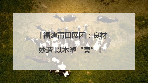 福建莆田展团：良材妙造 以木塑“灵”