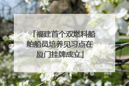 福建首个双燃料船舶船员培养见习点在厦门挂牌成立