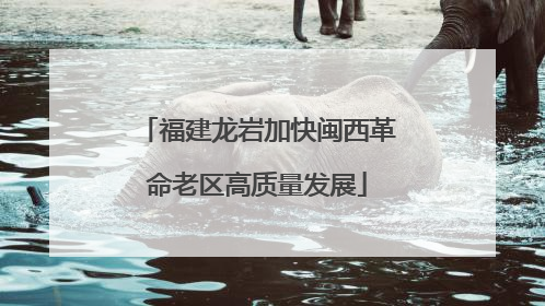 福建龙岩加快闽西革命老区高质量发展