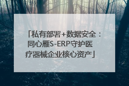 私有部署+数据安全：同心雁S-ERP守护医疗器械企业核心资产