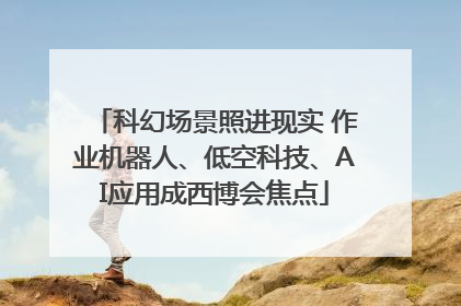 科幻场景照进现实 作业机器人、低空科技、AI应用成西博会焦点