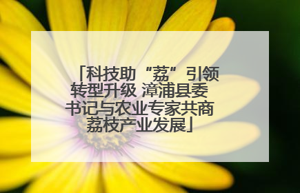 科技助“荔”引领转型升级 漳浦县委书记与农业专家共商荔枝产业发展